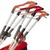 Tagliaerba rasaerba a batteria Einhell Rasarro 36/36 con 2 batterie 3.0Ah e 2 caricabatterie Einhell - 2