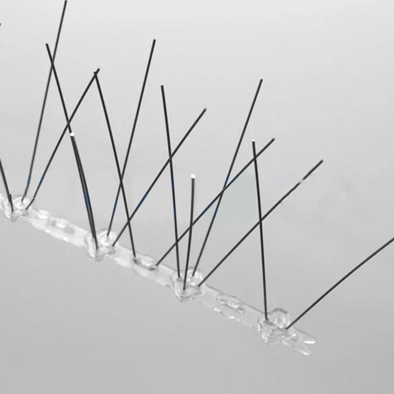 Dissuasore per volatili Dakota 500x100mm a 36 punte in policarboinox (60pz) Dakota - 2