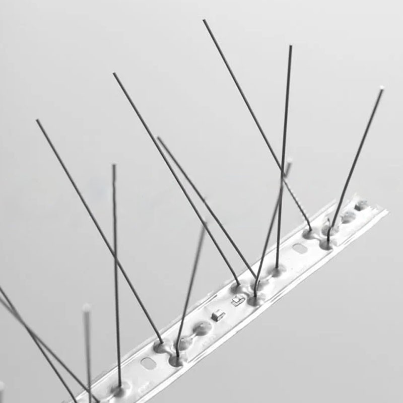 Dissuasore per volatili Dakota 1000x100mm a 66 punte in acciaio inox flessibile (25pz) Dakota - 2
