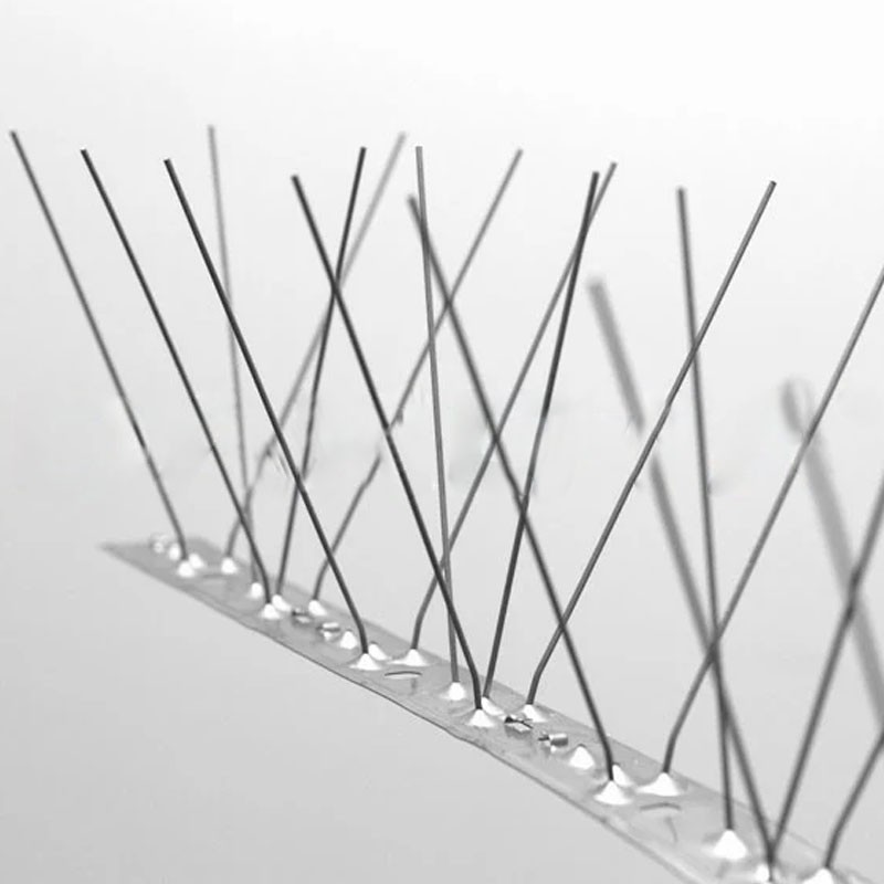 Dissuasore per volatili Dakota 1000x100mm a 66 punte in acciaio inox flessibile (25pz) Dakota - 4