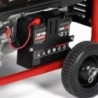 EINHELL GENERATORE DI CORRENTE TC-PG 8000