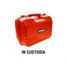 Custodia