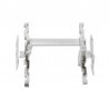 Distanziatore Dakota per mattoni vetrocemento, 60x55x80mm (500pz) Dakota - 3